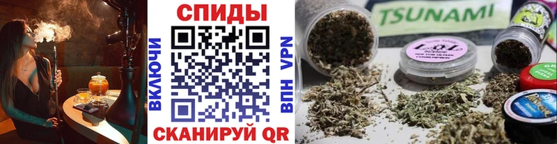 как найти закладки  Электрогорск  БУТИРАТ 1.4BDO 