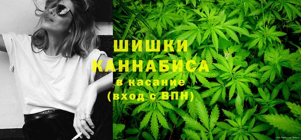 ПСИЛОЦИБИНОВЫЕ ГРИБЫ Тутаев