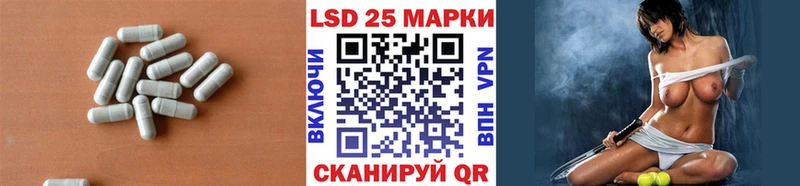 дарнет шоп Электрогорск Лсд 25 экстази кислота
